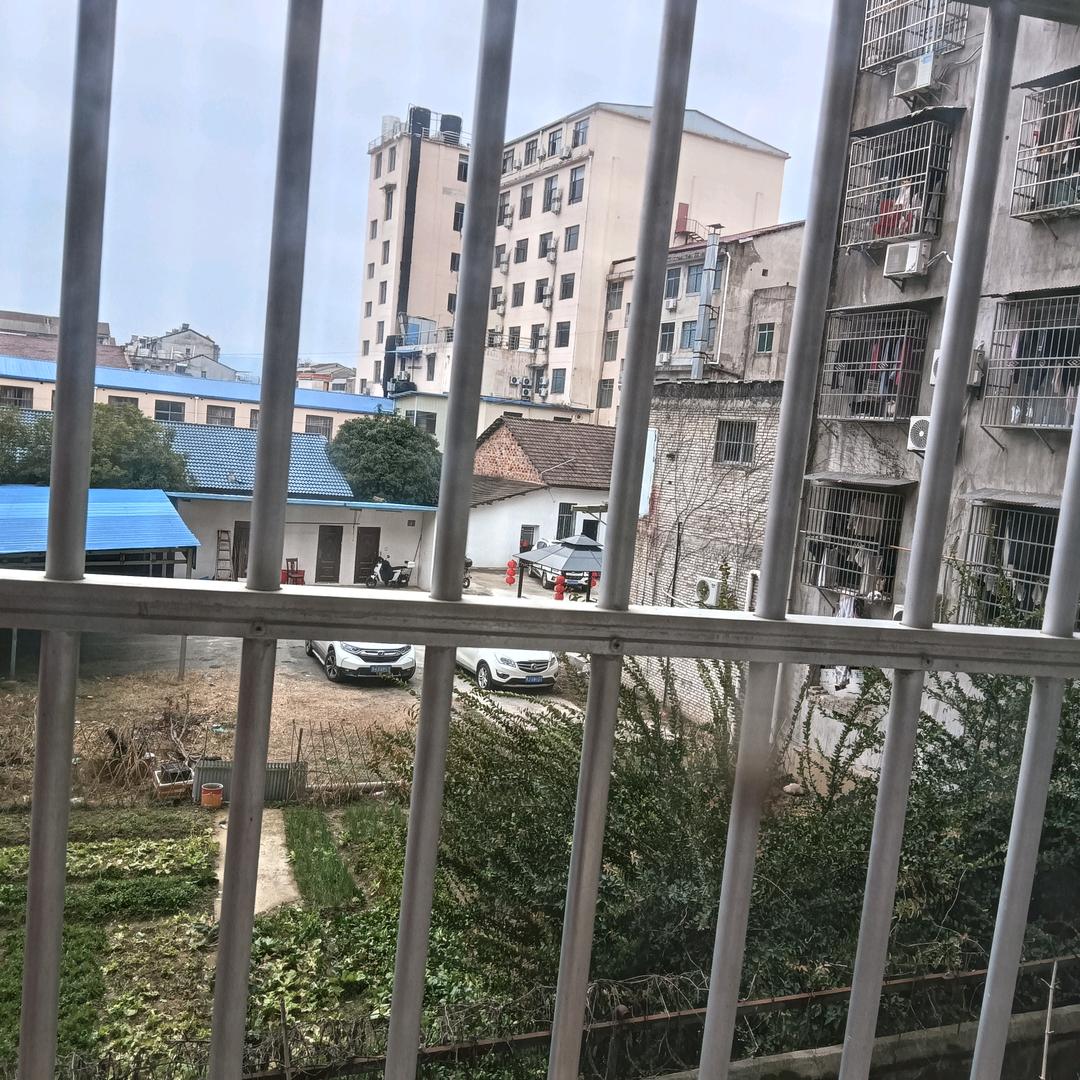 福来