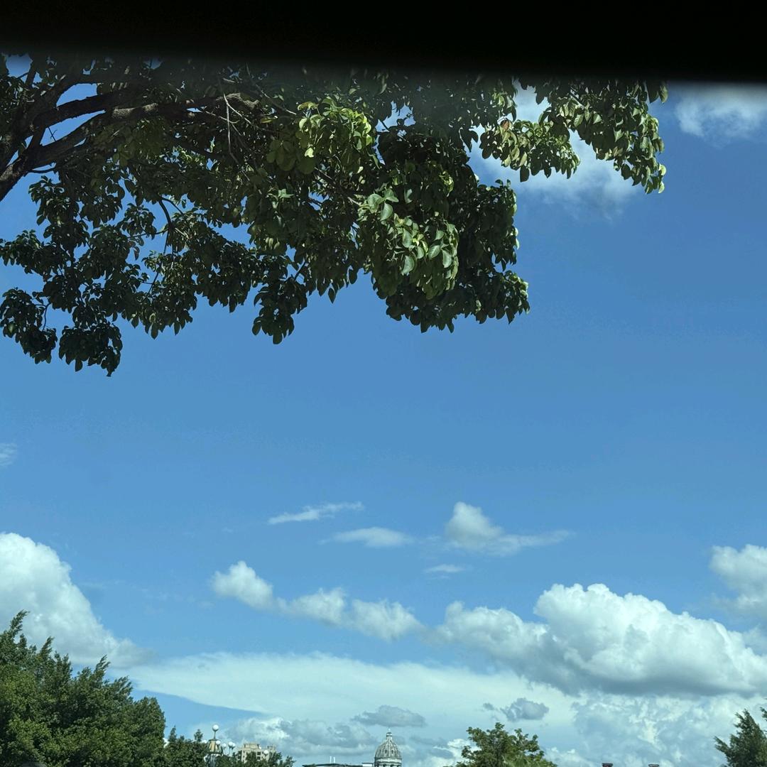 白露生活好物分享