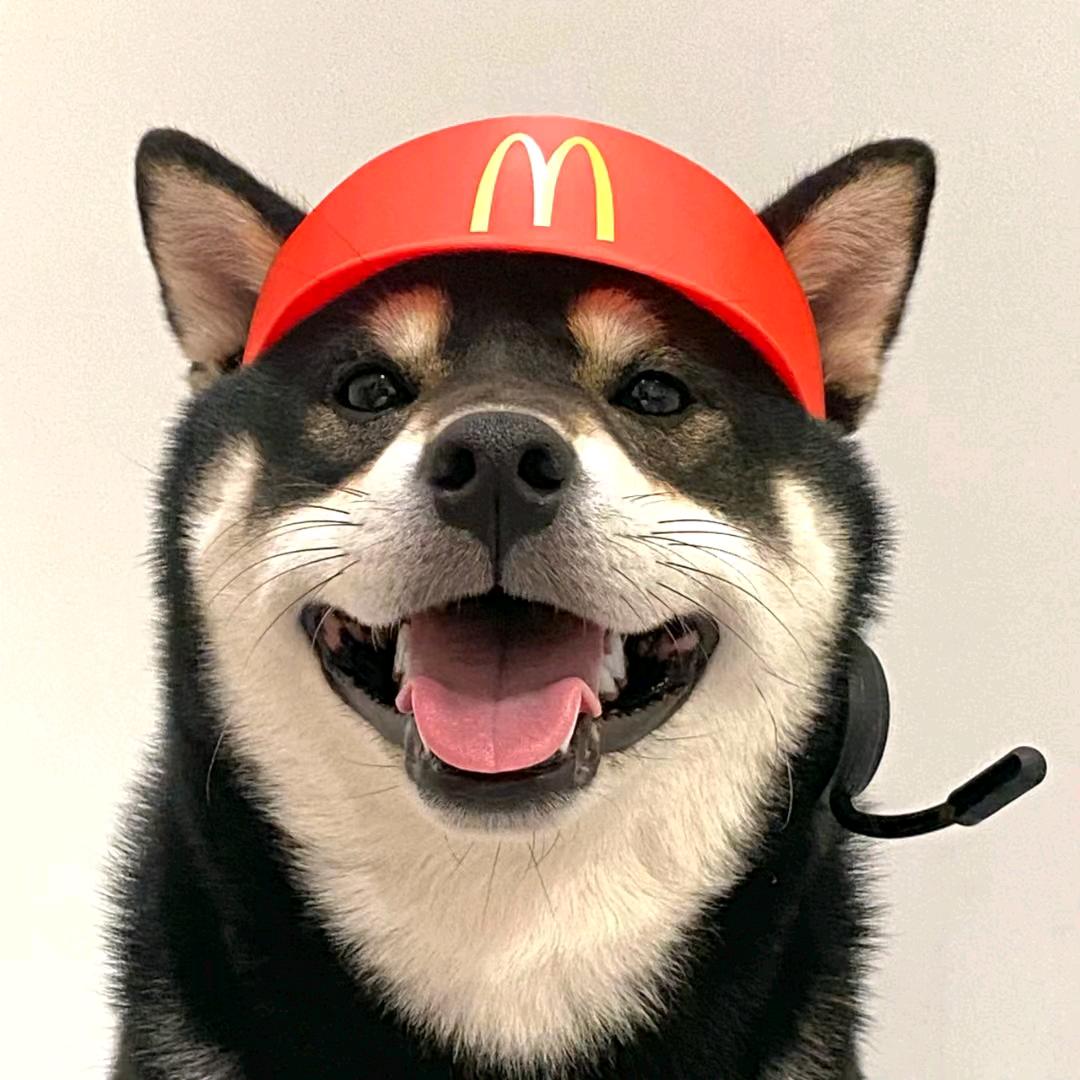 周正不歪