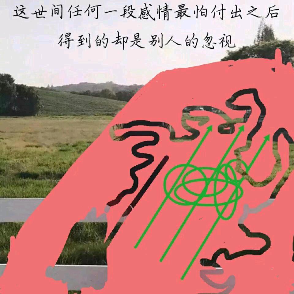 芭  比 Q啦