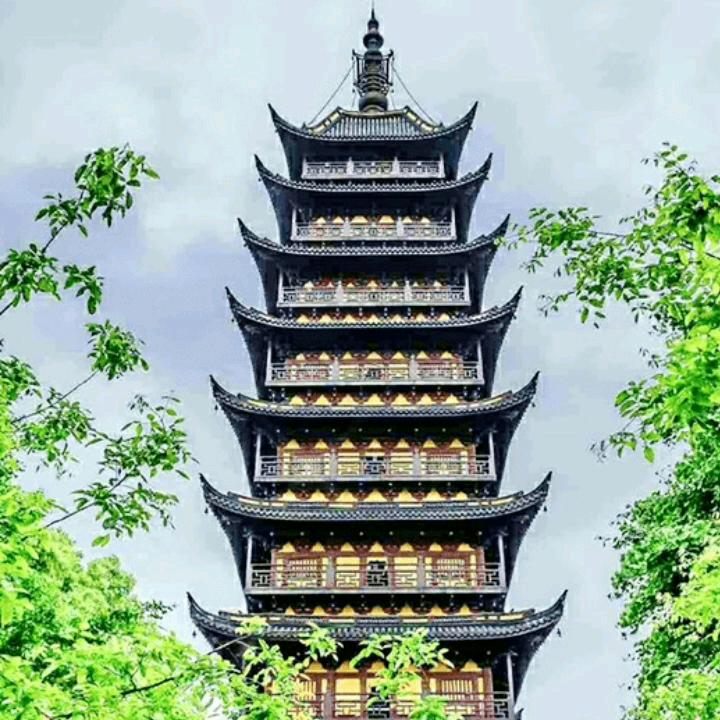 张哥