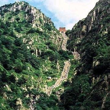 泰山圣人（泰安立军哥）