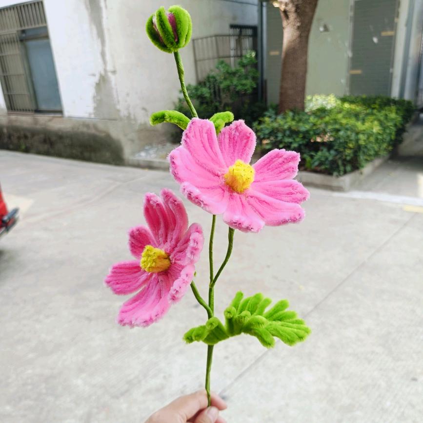 爱做花的刘刘丫