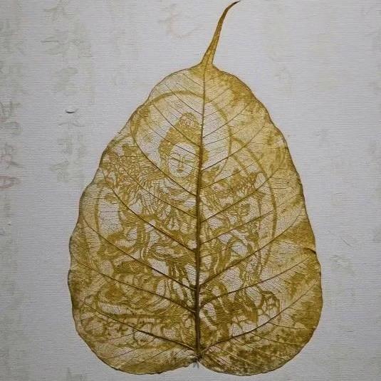 豪帅祺萌