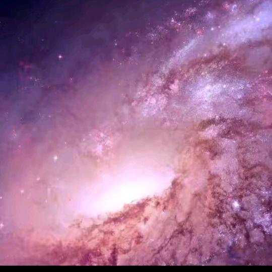 每天都要开心哦