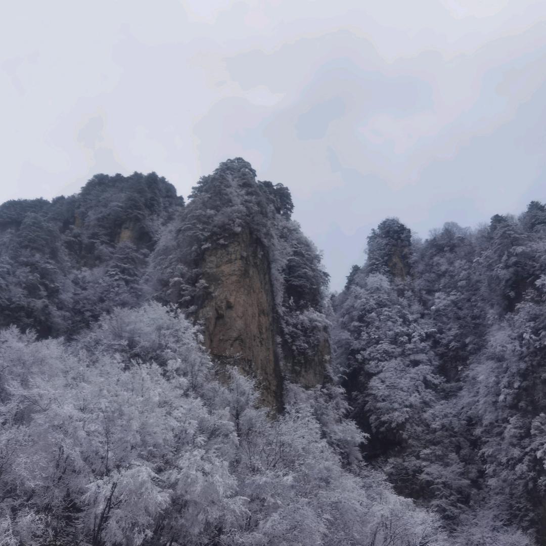 奶糖