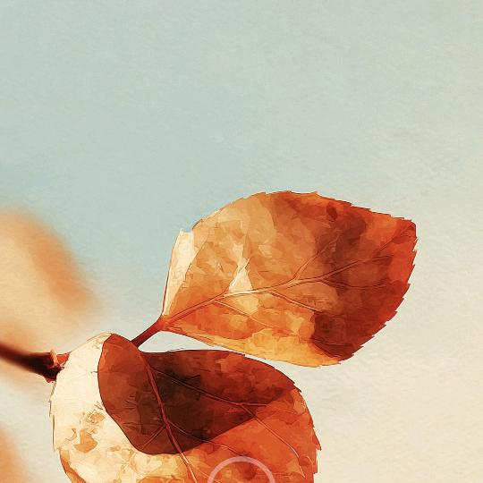 沐沐#
