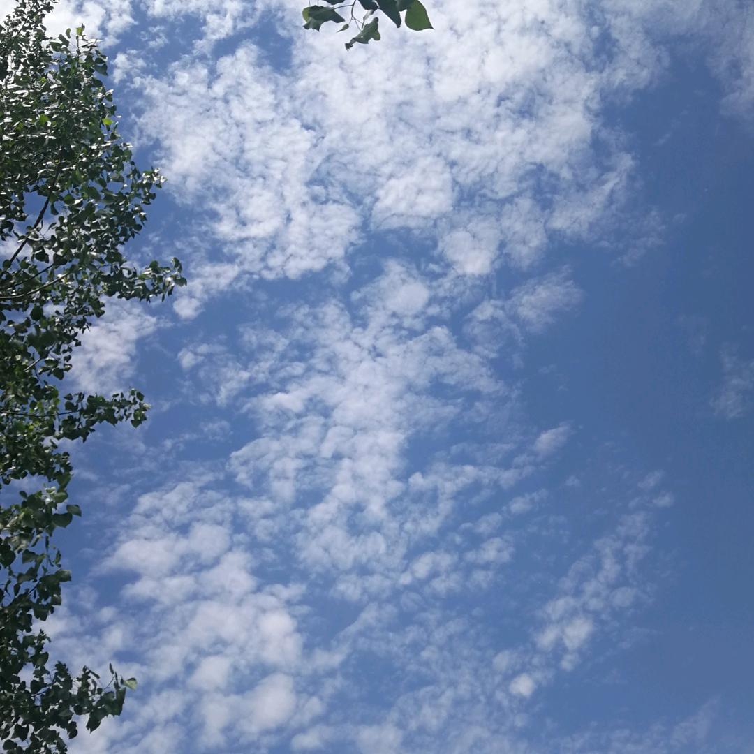 逆熵的蝴蝶