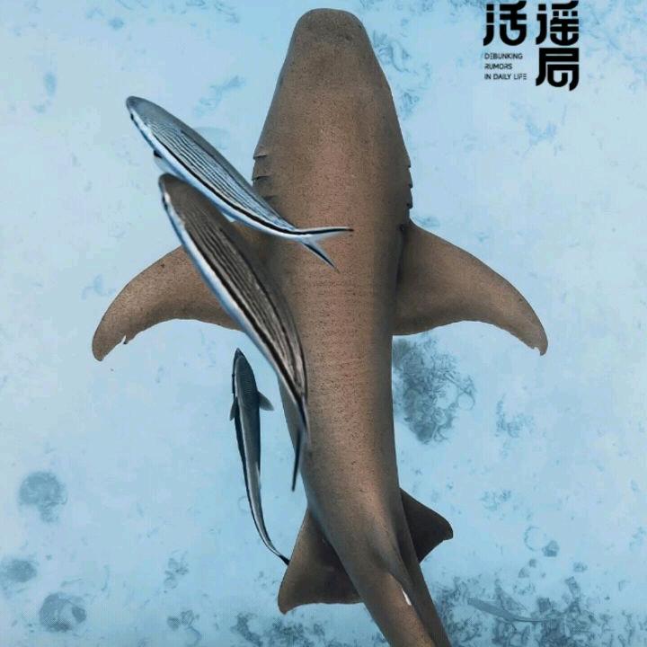 @༊ღ᭄《沐》ꦿ꯭ @ღ᭄沐ꦿ