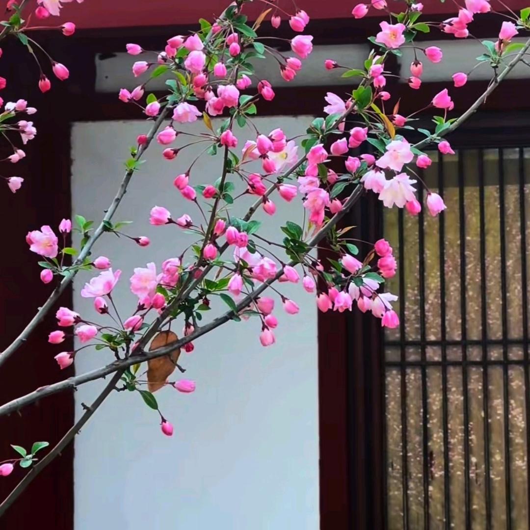 不负时光