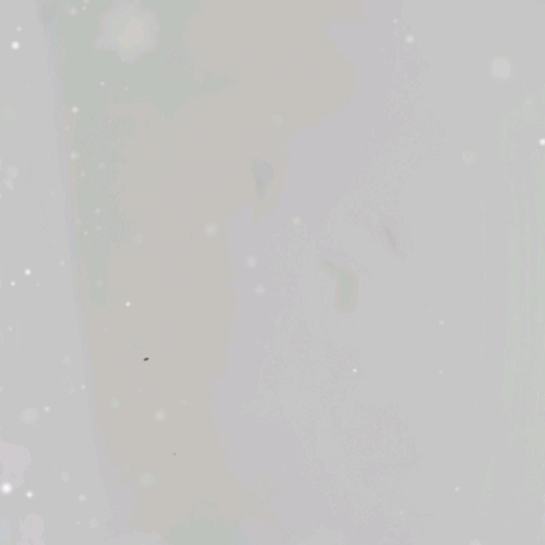 猴年