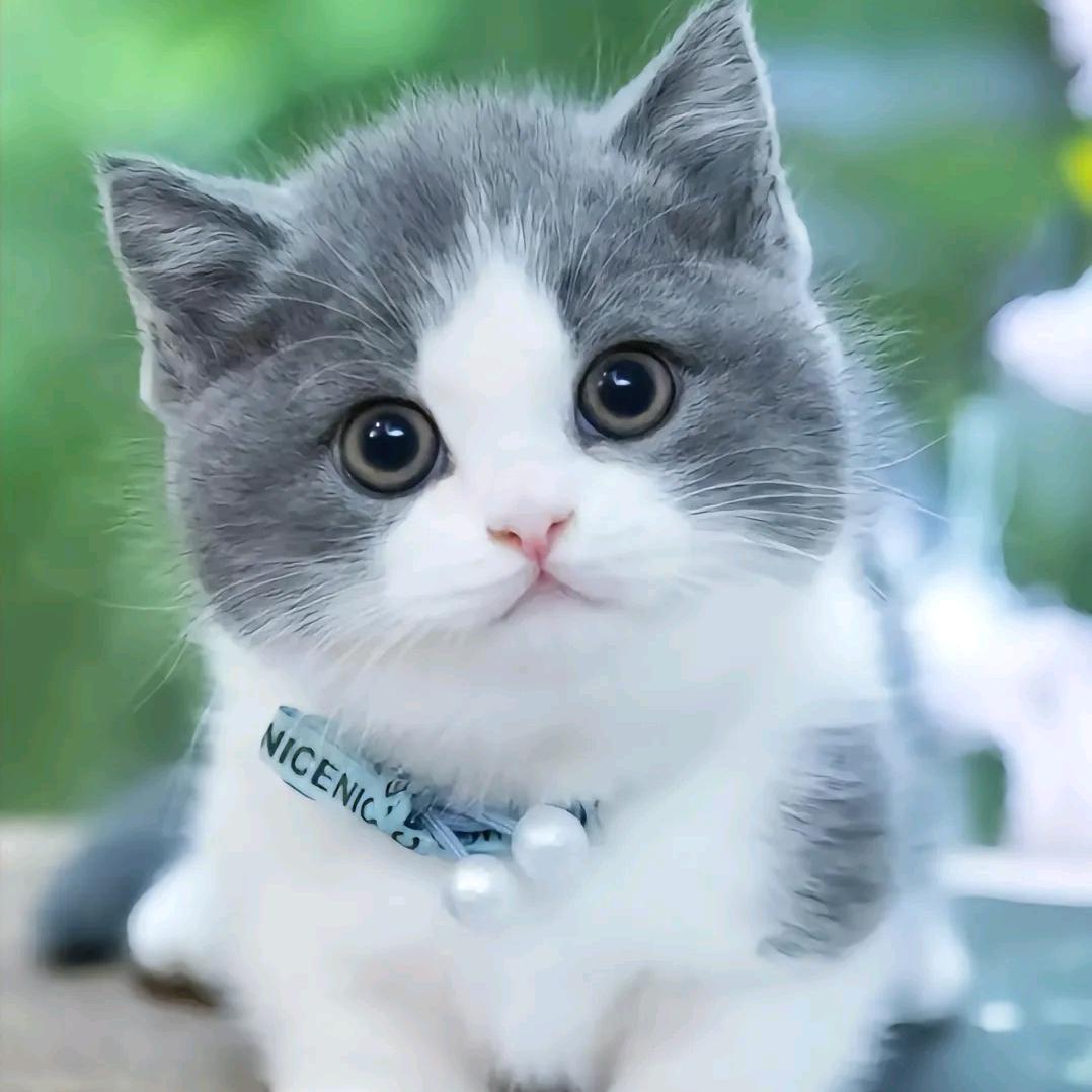 宝马哥（甄选好物）