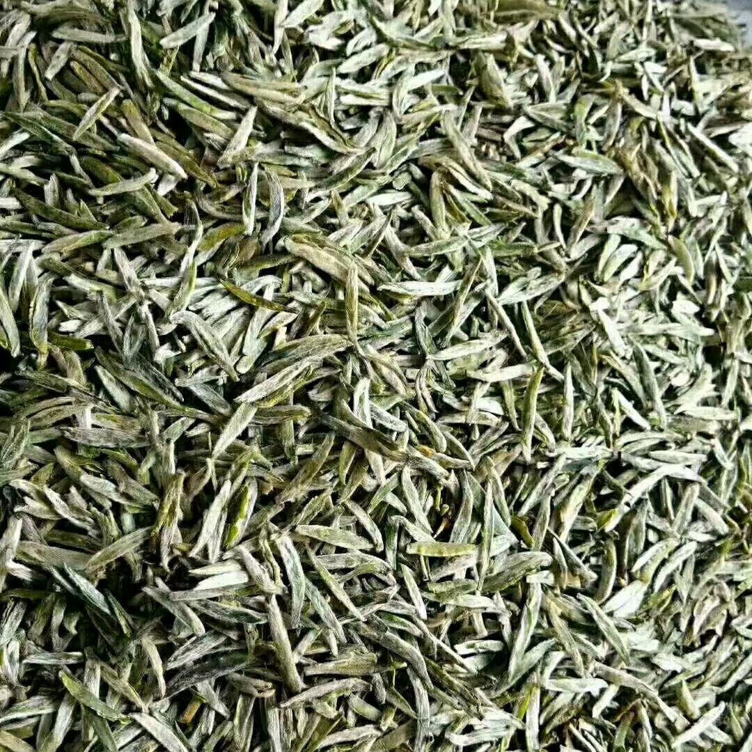 信阳毛尖茶