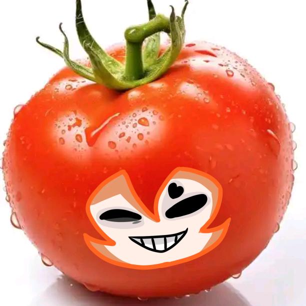 番茄啊嗷嗷