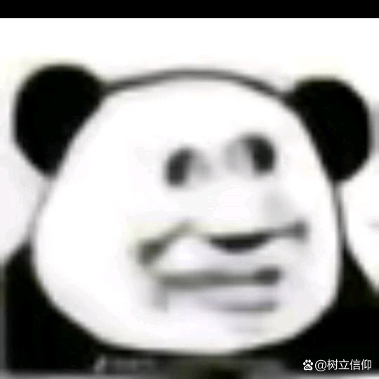 真人吗？（纯新手）