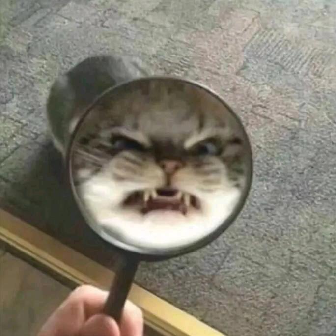 幸福姐