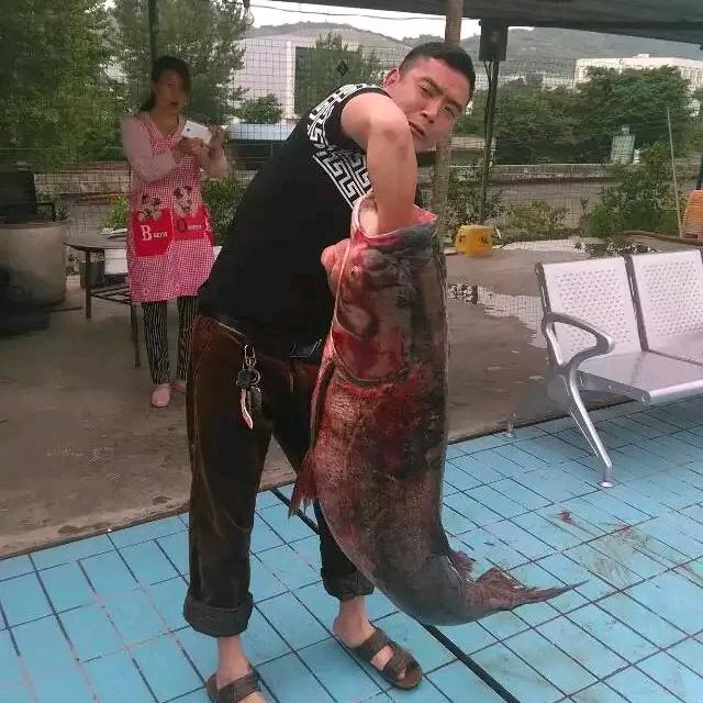 阿鹏哥鹏程万里，野钓大鲤鱼大板鲫