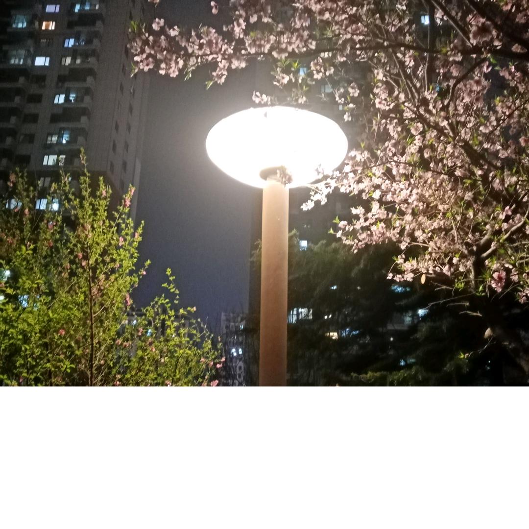 蓝色幽雨