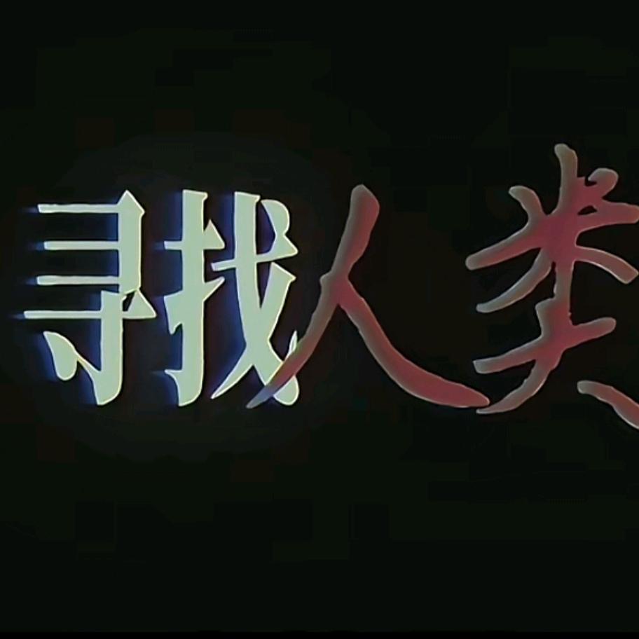 每天上网都要