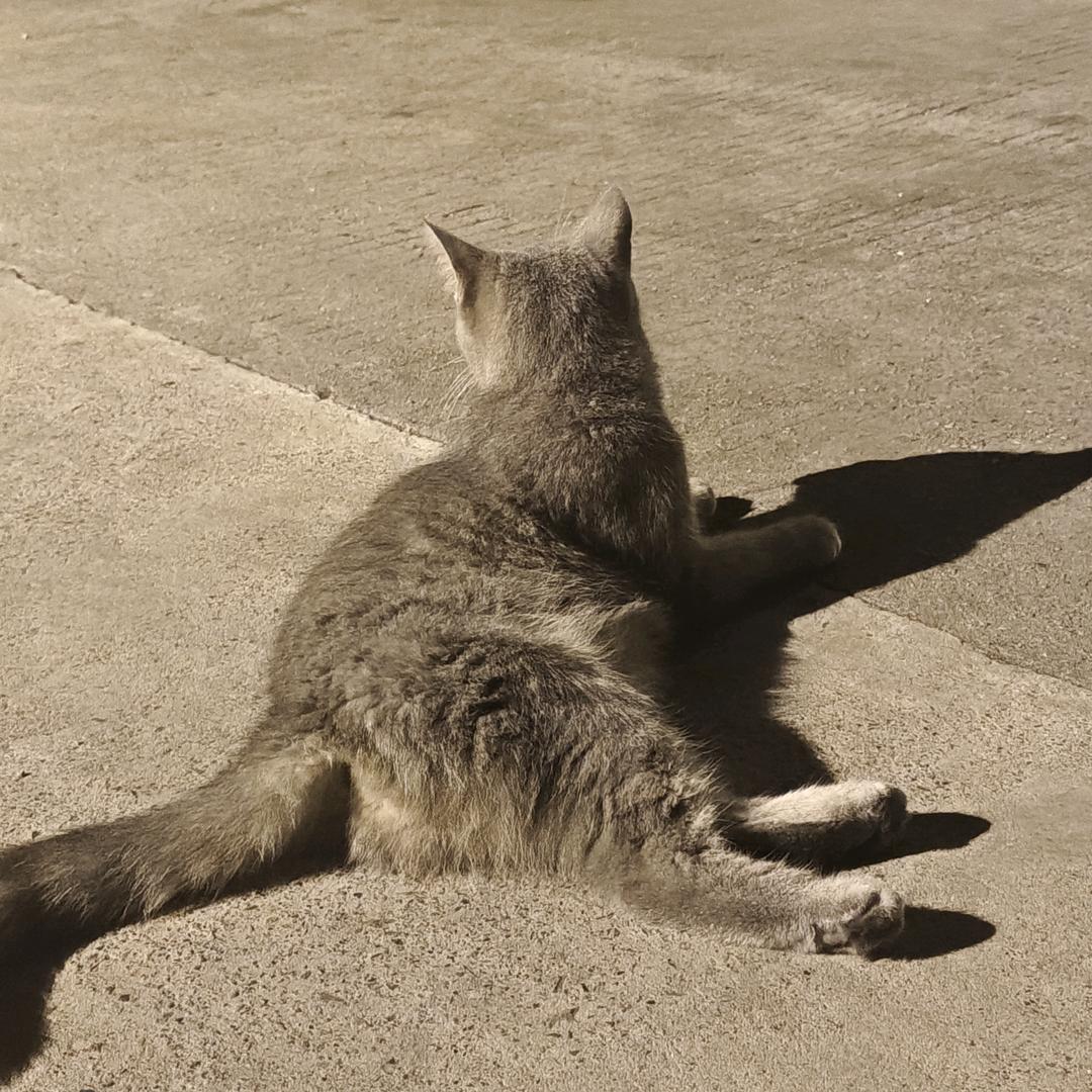 看啥呢给我瞅一眼（读研版）