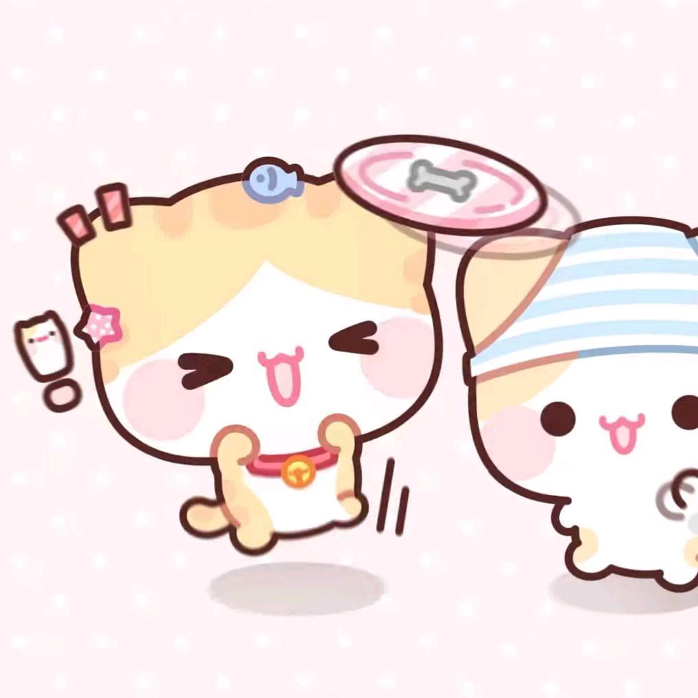 ✦☪︎