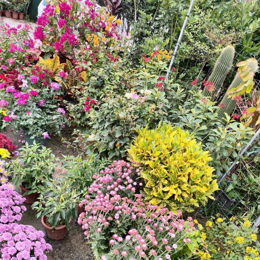 💞ღ᭄半ঞ᭄颗༊糖🍬💞