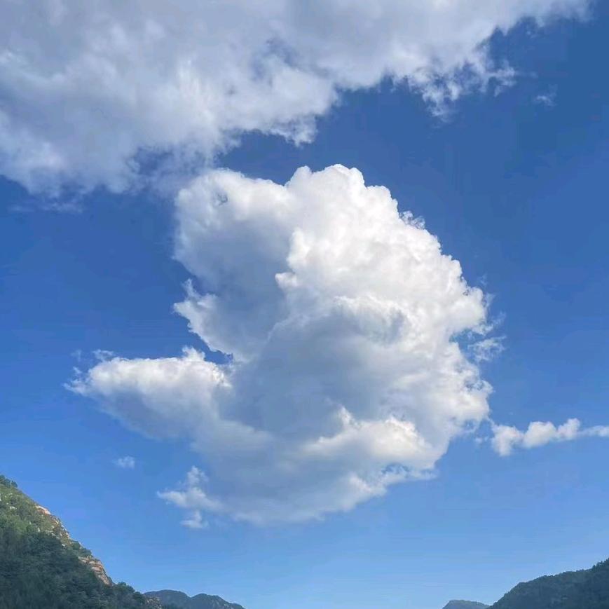 品味