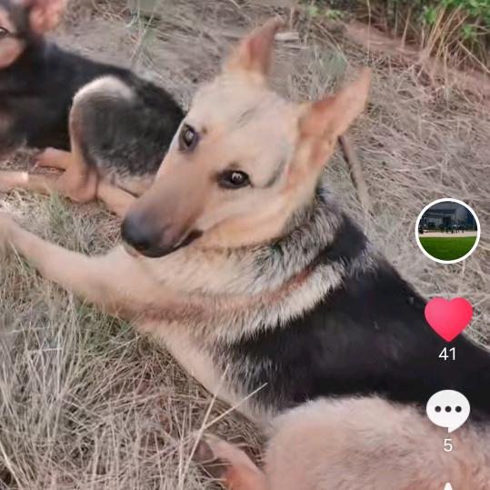 一半伤心一半遗憾