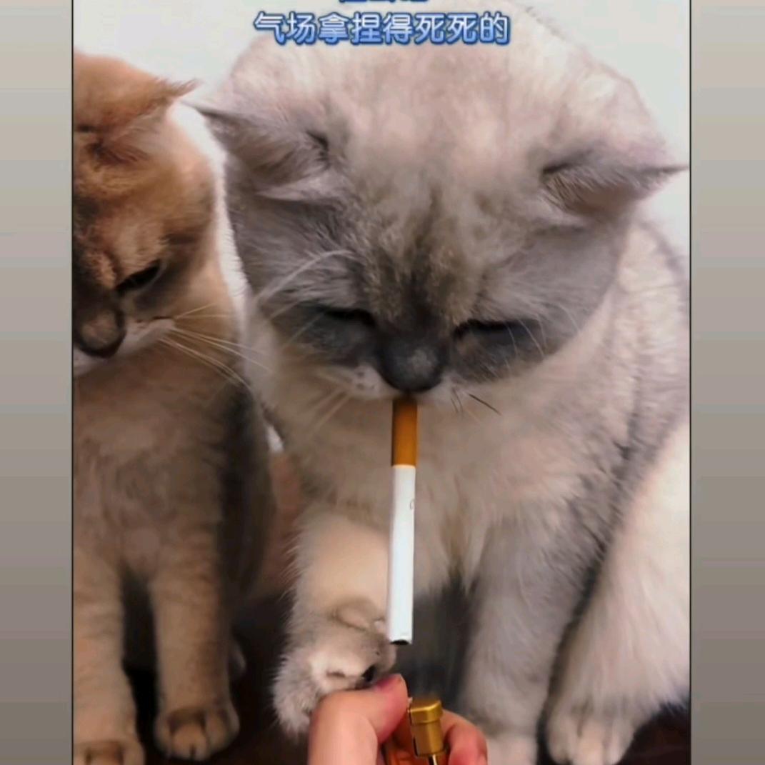 虽迟但到
