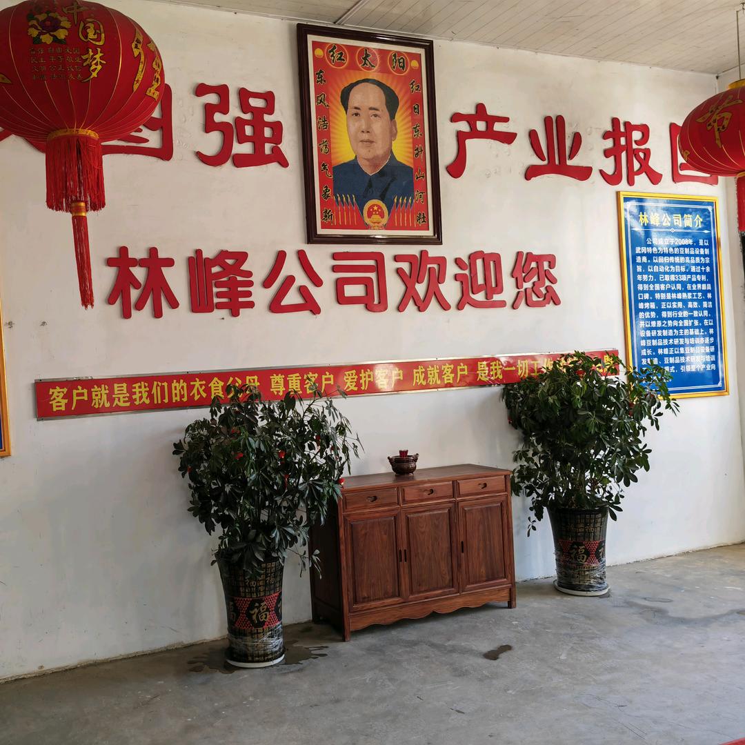 豆制品设备—林峰机械