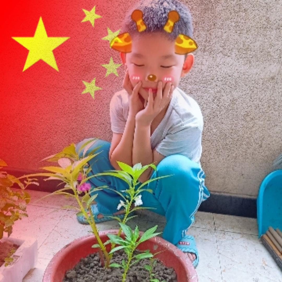 七色彩虹