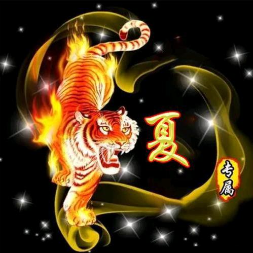 ✨対伱、卟奢望✨头像