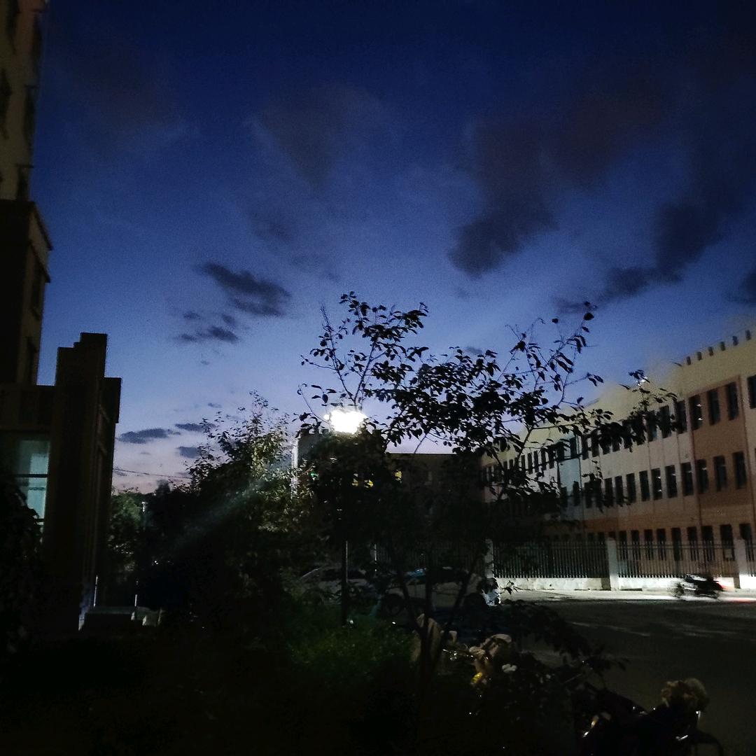 黑夜传说《透析》