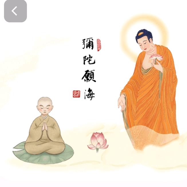 本来如是