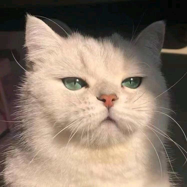 YJHぎ