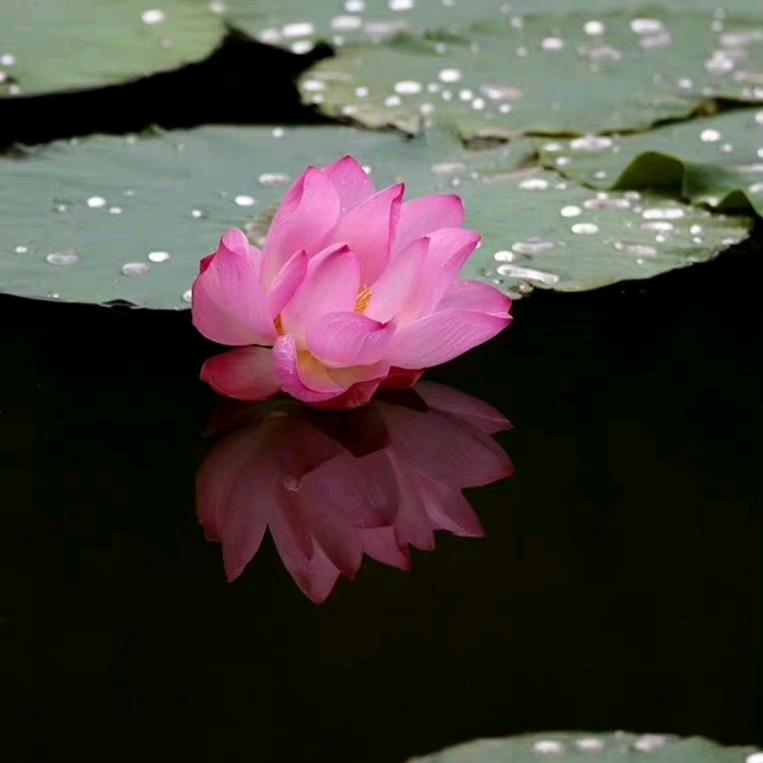缘启