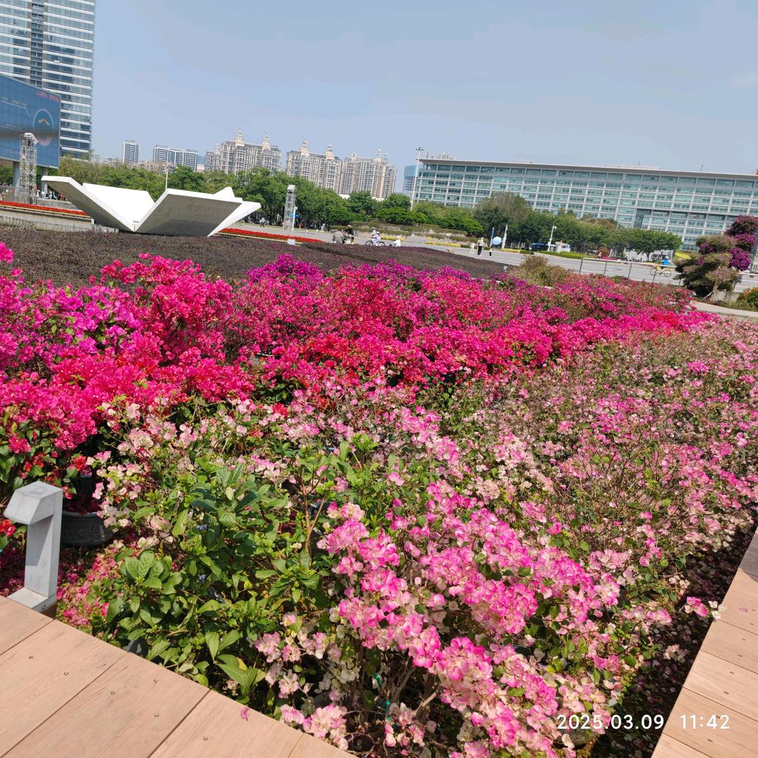 清泉里的一叶浮萍