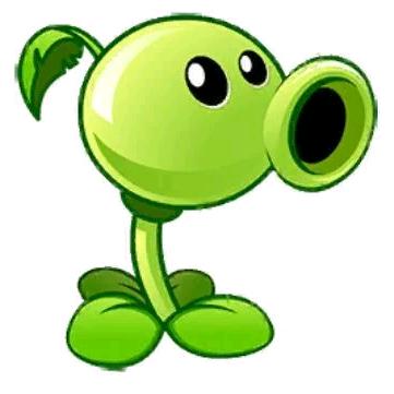 🟢🟢🟢🟢🟢