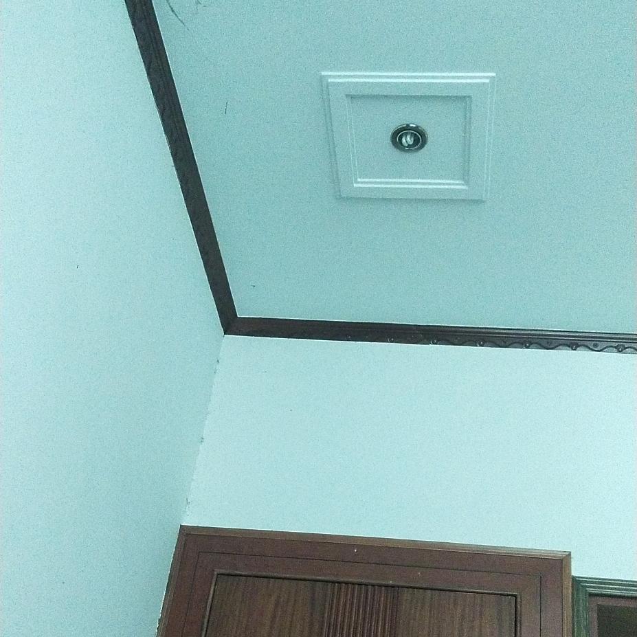 鱼鹰