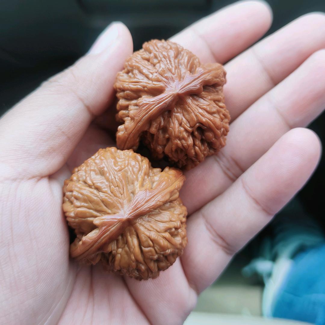 蜂花血月错别字