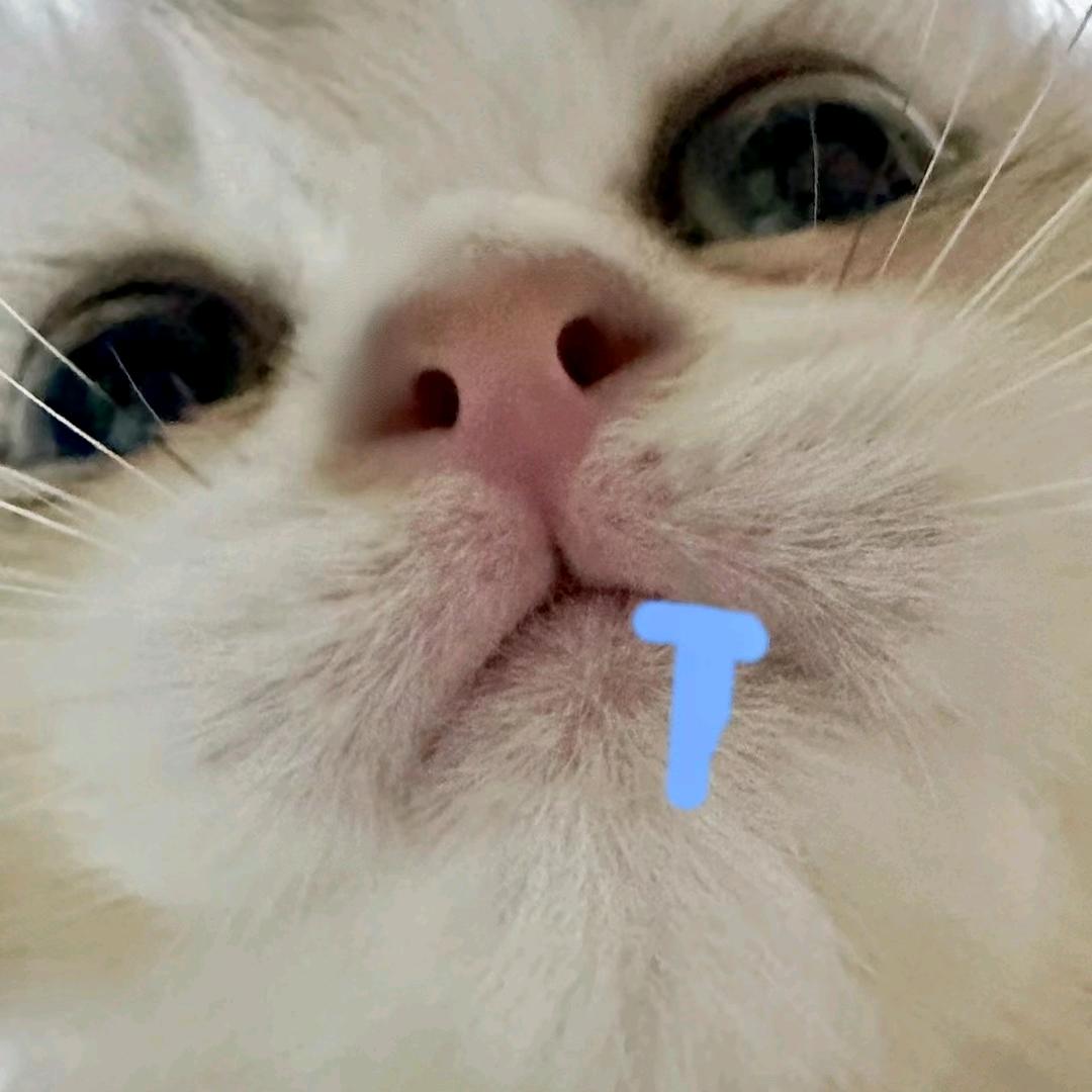 克林人生是偶然