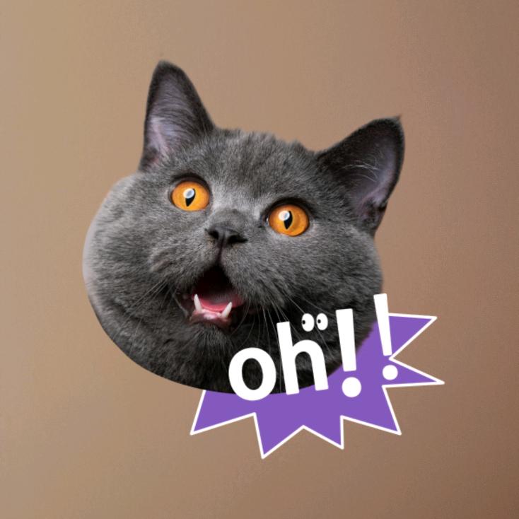 算了吧？我们不配