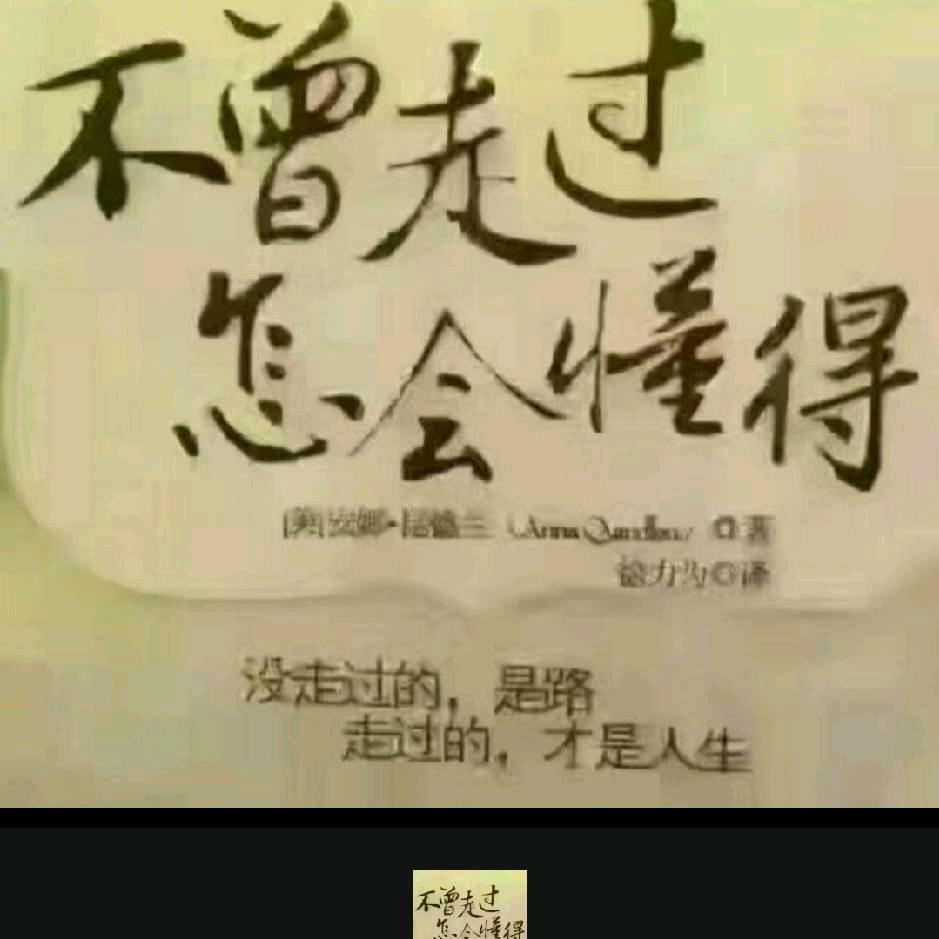 阿虎🐅