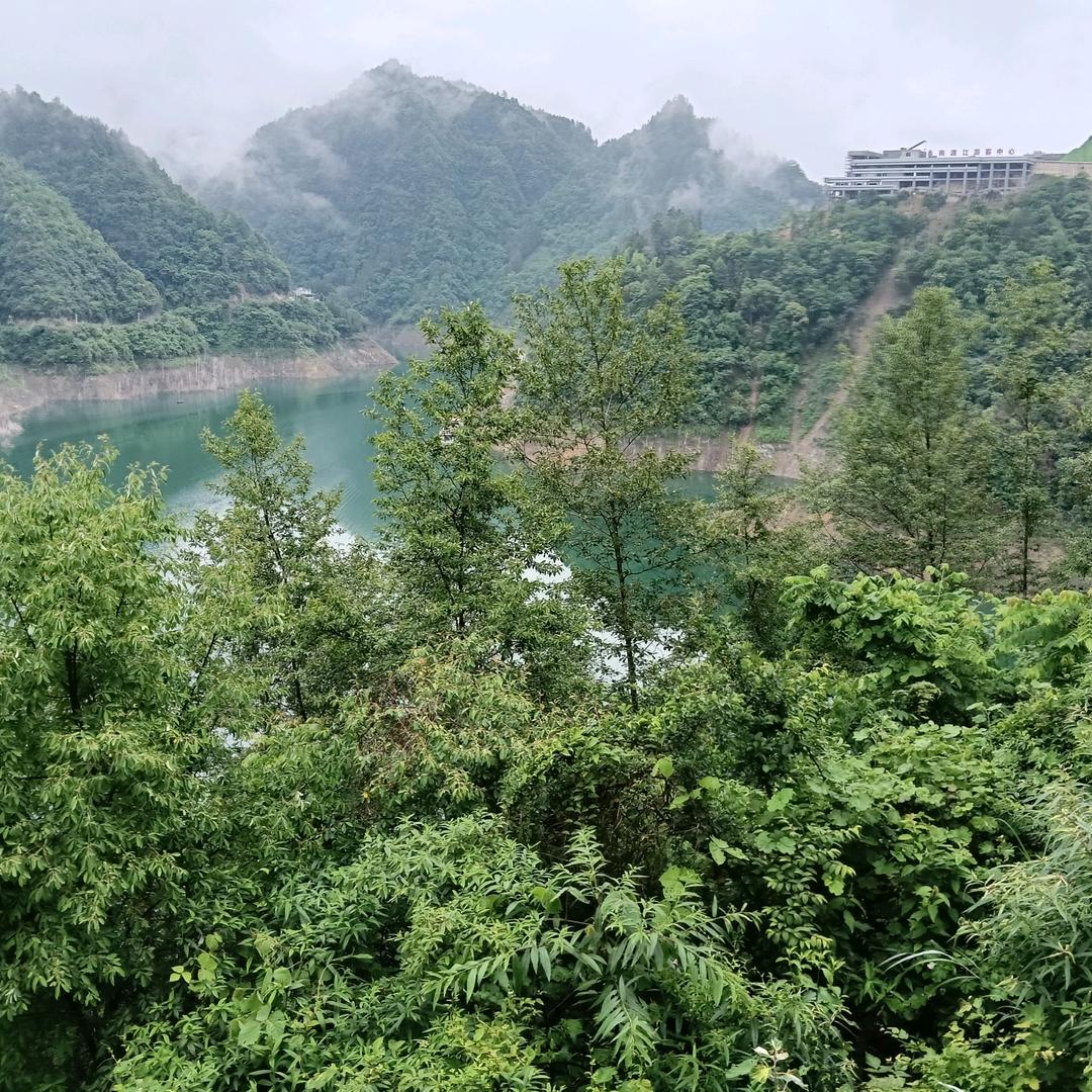 威锅