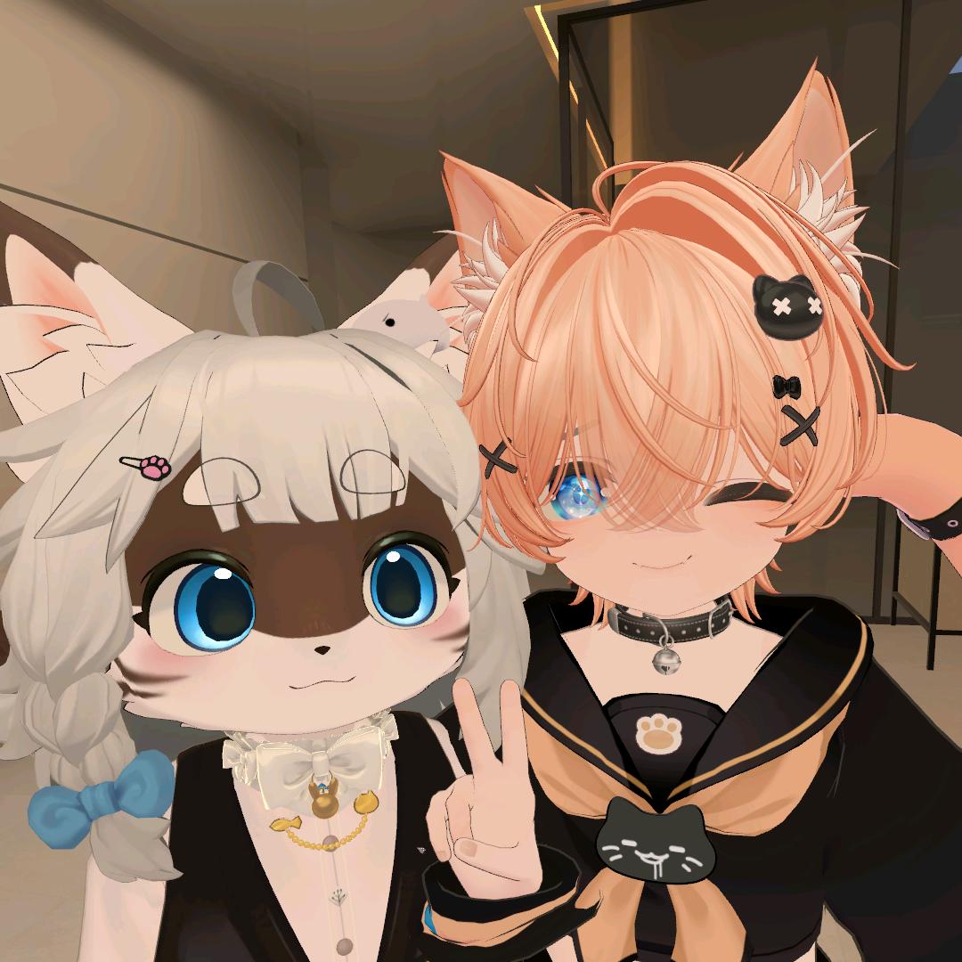 琥喵茶Humiya与白灵猫BAILING