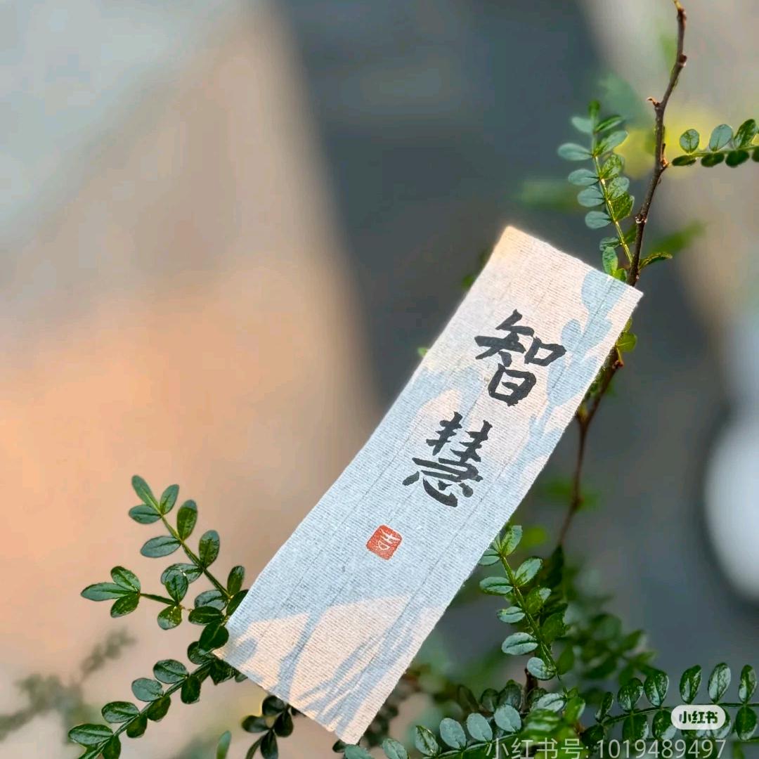 智慧 人生