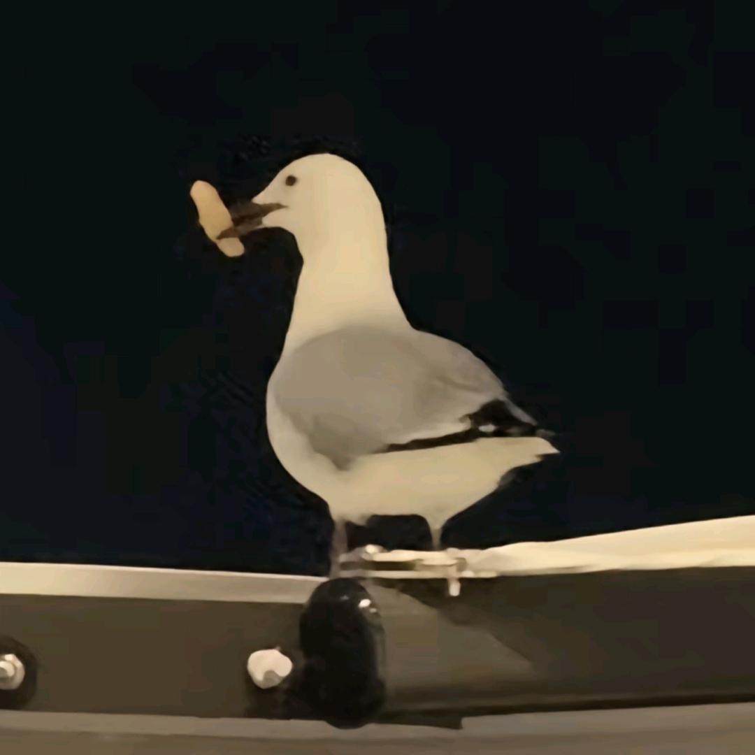 九磅十五便士