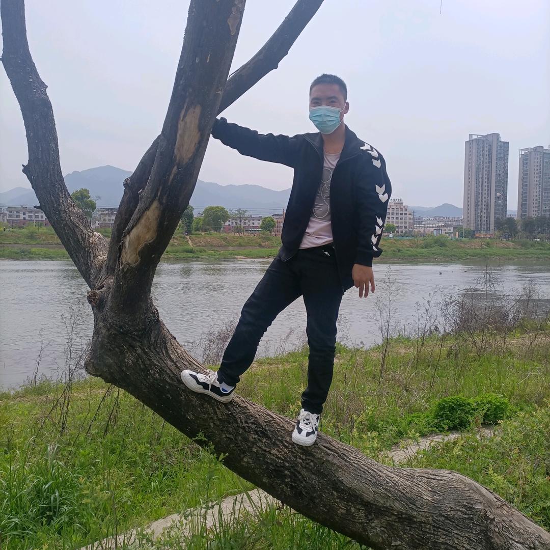 我是鹏哥