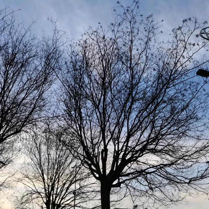 破锣嗓子（别看喜欢）感觉至上