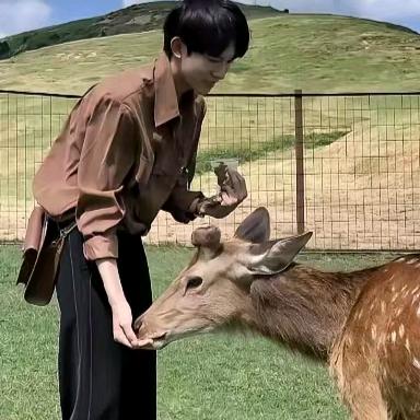行测局局长